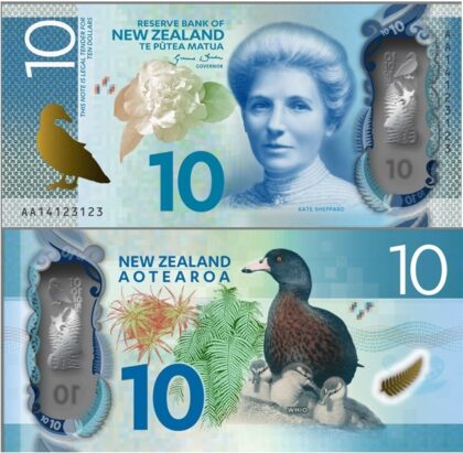 $10 NZD Bills