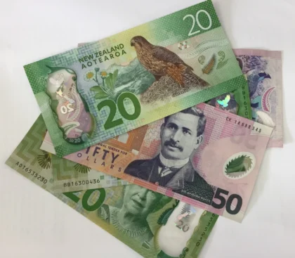 New Zealand Prop Money